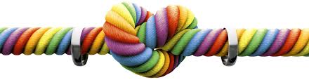 How to tie the knot in NJ