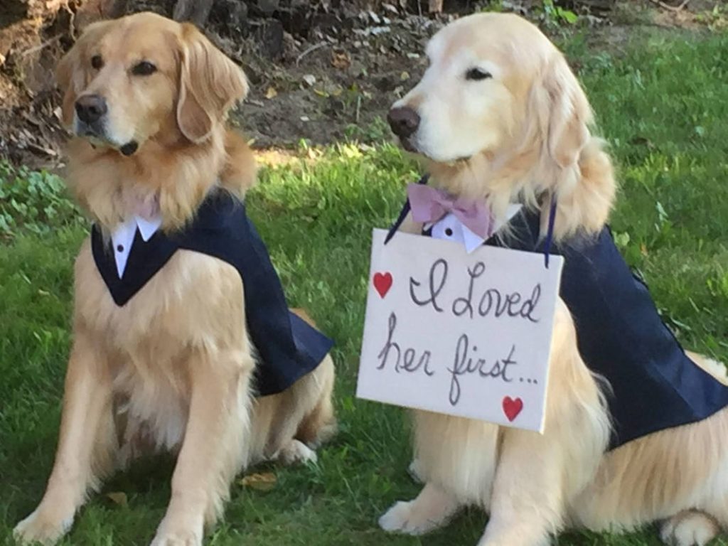 Dog with I loved her first sign