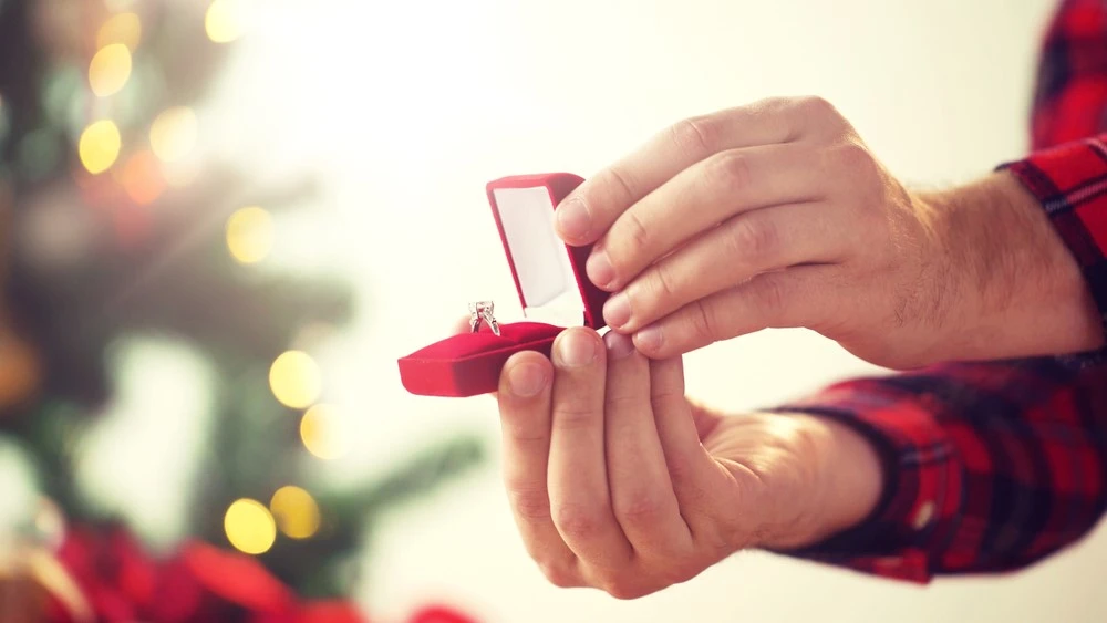 holiday proposals- Christmas