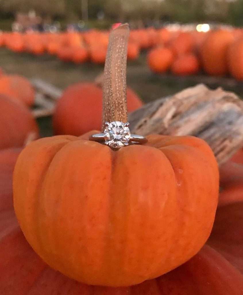 Pumpkin wedding proposal
