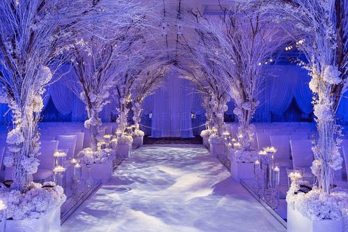 winter-wonderland - wedding-ideas